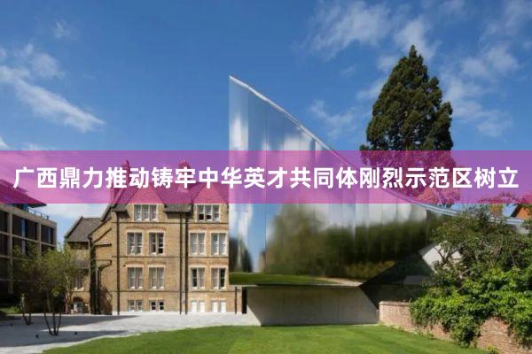 广西鼎力推动铸牢中华英才共同体刚烈示范区树立